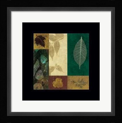 Framed Nature III Print