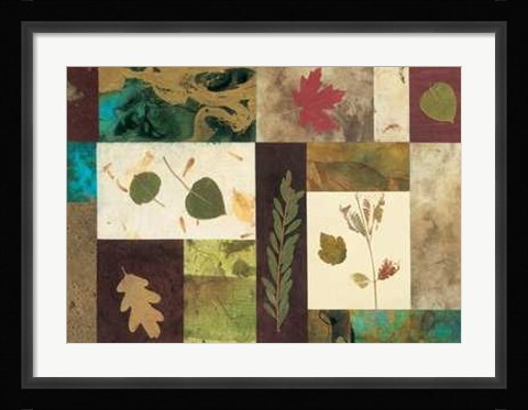 Framed Nature's Memories Print