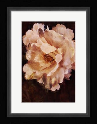 Framed White Beauty Print