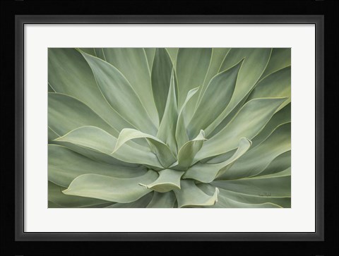 Framed Elegant Agave Print