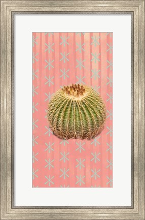 Framed Barrel Cactus Print