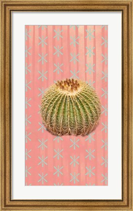 Framed Barrel Cactus Print