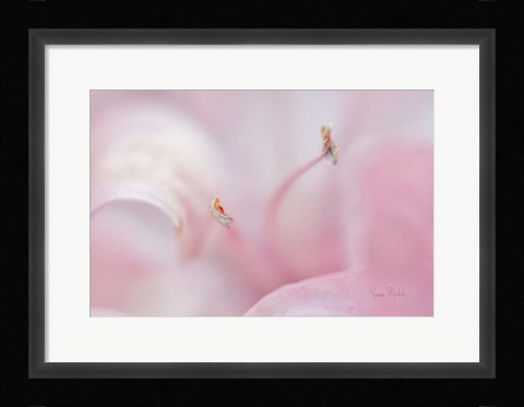 Framed Drifting in a Dream Print