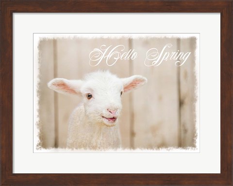Framed Hello Spring Lamb Print
