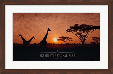 Framed Vintage Sunset with Giraffes in Serengeti National Park, Africa Print