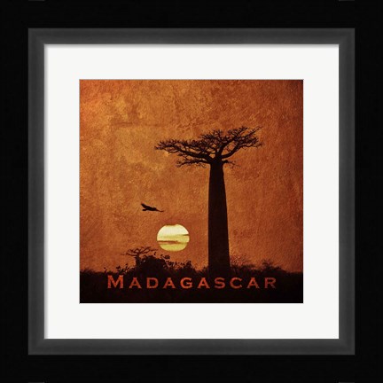 Framed Vintage Baobab Trees at Sunset in Madagascar, Africa Print