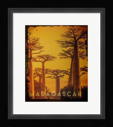 Framed Vintage Baobab Trees in Madagascar, Africa Print