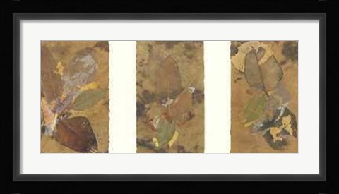 Framed Phillip Jaeger - Leaves Size 35.5x18.5 Print