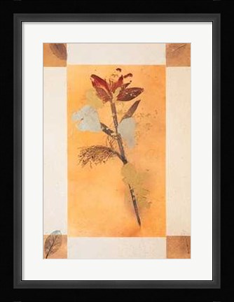 Framed Floral I Print