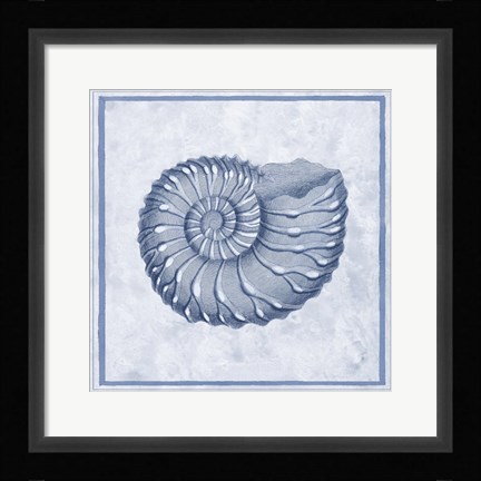 Framed Blue Nautilus C Print