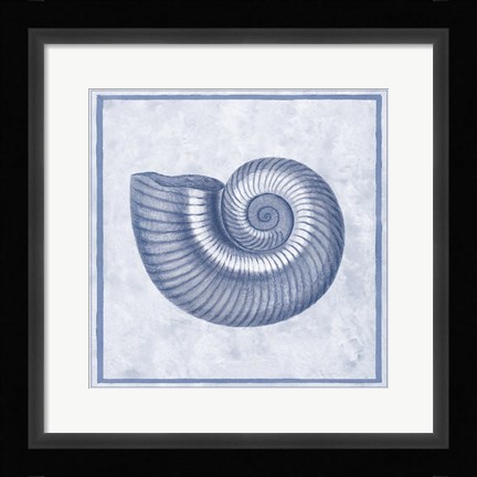 Framed Blue Nautilus D Print