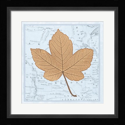 Framed Nature's Profile C Print