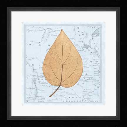 Framed Nature's Profile D Print