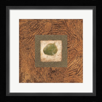 Framed Sedona Naturals A Print