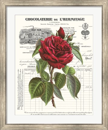 Framed Heirloom Roses A Print