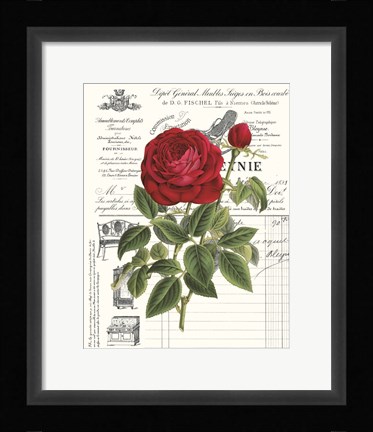 Framed Heirloom Roses B Print