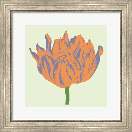Framed Soho Tulip III Print