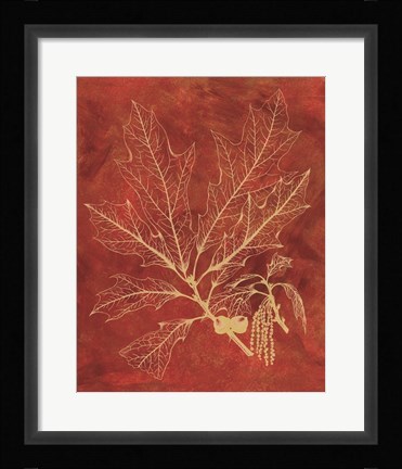 Framed Golden Oak I Print