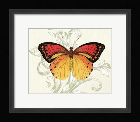 Framed Butterfly Theme III Print