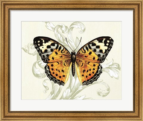 Framed Butterfly Theme IV Print