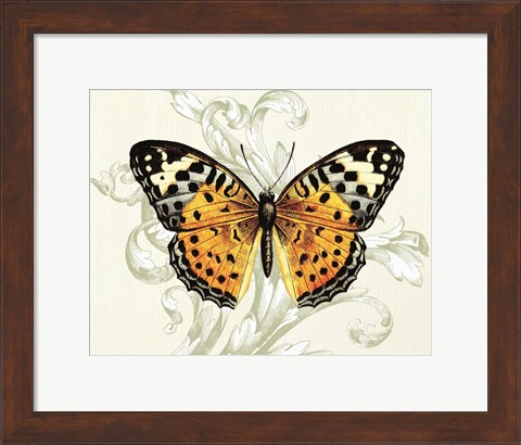 Framed Butterfly Theme IV Print