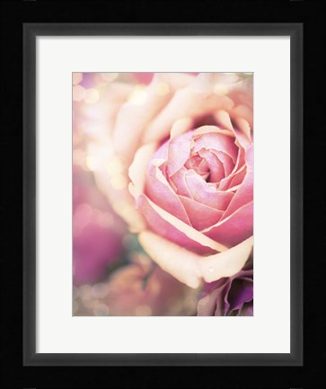 Framed Rosie Pink I Print