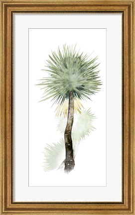 Framed Palm in Watercolor II Print