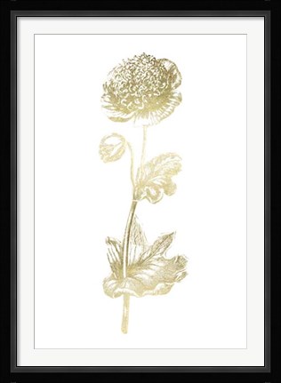 Framed Gold Foil Singular Beauty I Print
