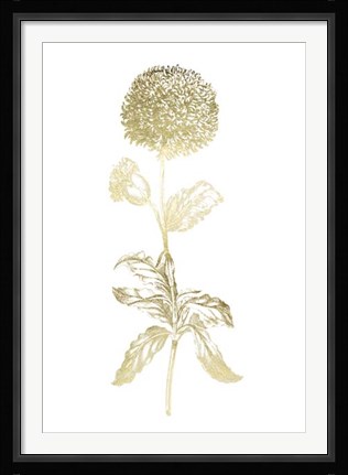 Framed Gold Foil Singular Beauty II Print