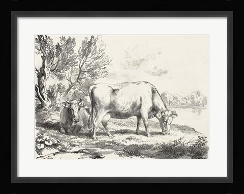 Framed Rural Charms III Print