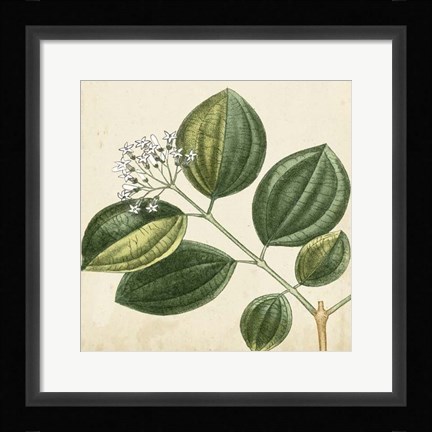 Framed Garden Bounty VII Print