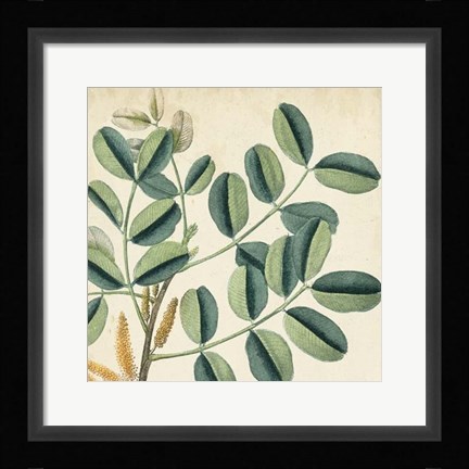 Framed Garden Bounty IX Print