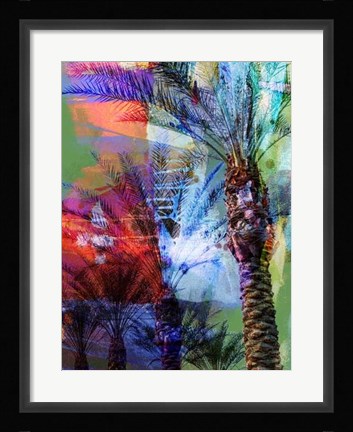 Framed Desert Palm Abstract Print