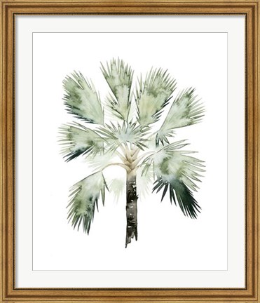 Framed Watercolor Palm of the Tropics I Print