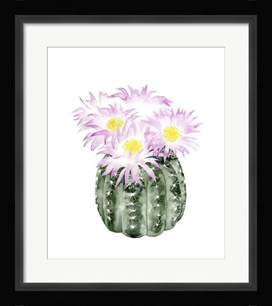Framed Cactus Bloom I Print