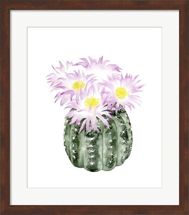 Framed Cactus Bloom I Print