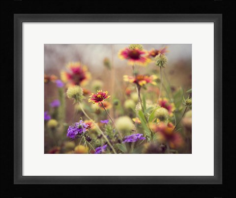Framed Wild Blooms I Print