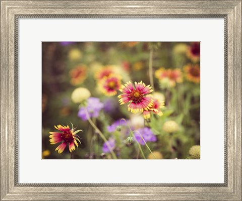 Framed Wild Blooms III Print