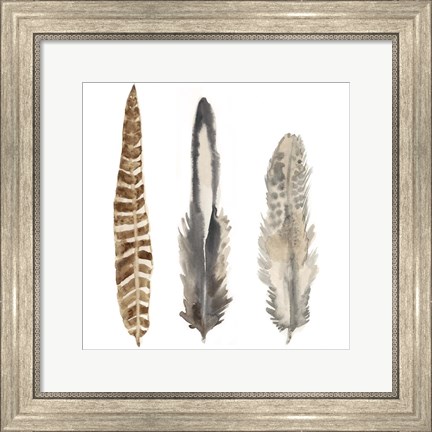 Framed Watercolor Plumes I Print