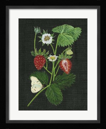 Framed Strawberry Fields I Print