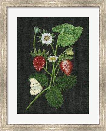 Framed Strawberry Fields I Print