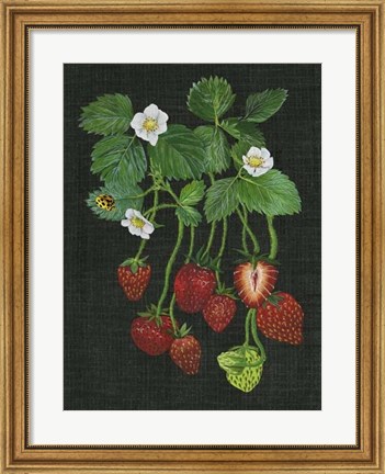 Framed Strawberry Fields II Print