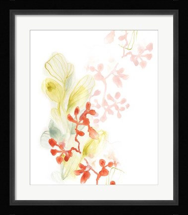 Framed Sea Branch I Print