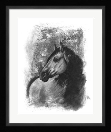 Framed Charcoal Equestrian Portrait IV Print