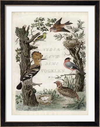 Framed Woodpecker Sanctuary Print