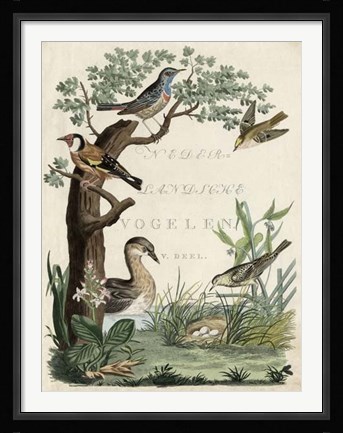 Framed Duck Sanctuary Print