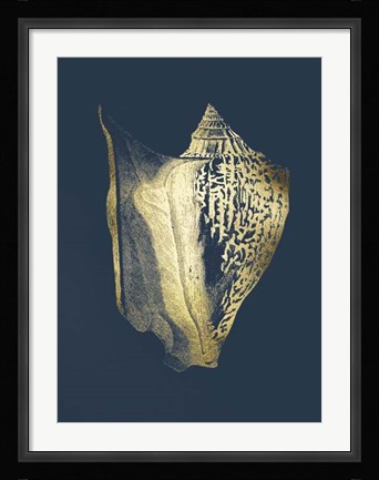 Framed Gold Foil Shell III on Cobalt Print