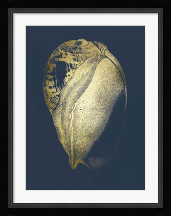 Framed Gold Foil Shell IV on Cobalt Print