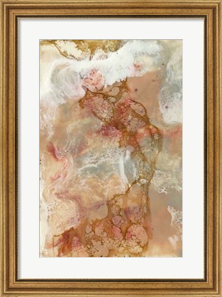 Framed Coral Lace I Print