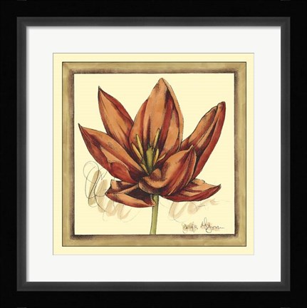 Framed Tulip Study II Print